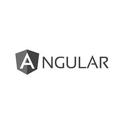 Logo-Angular zw